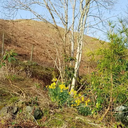 The Old Cottage Arduaine Exterior photo